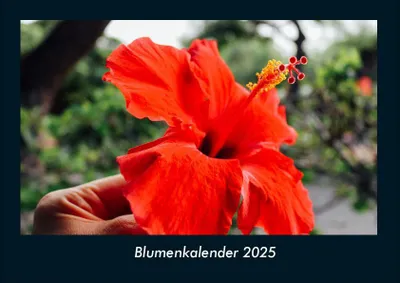 Produktbild von Blumenkalender 2025 Fotokalender DIN A4