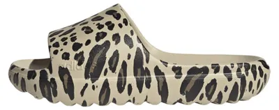 Image de Des chaussures Adidas KJ8127XXA