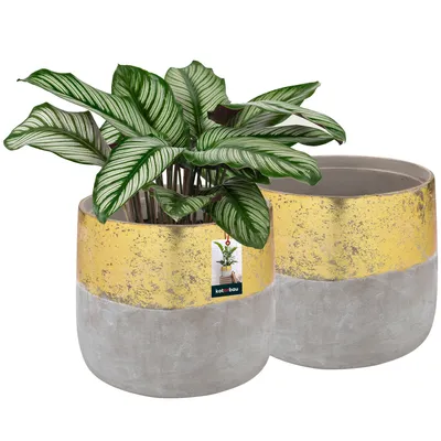 Two ceramic planters, one with a plant, against a white background.