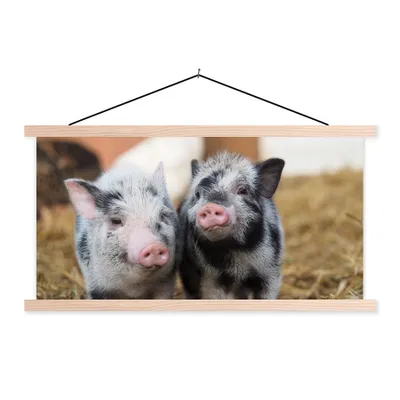 Produktbild von MuchoWow® Textilposter Schwein - Tiere - Ferkel 120x60 cm mit holzfarbenen Rahmen - Klemmleiste