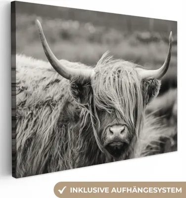 Zdjęcie produktu dla MuchoWow® - Obraz na płótnie - Szkocki góral - Krowa - Zwierzęta - Czarno-biały - Wiejski, fototapeta, dekoracja ścienna obrazy salon, 40x30cm