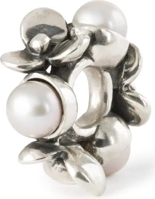 Produktbild von Trollbeads Perlen der Geduld Bead TAGBE-00308