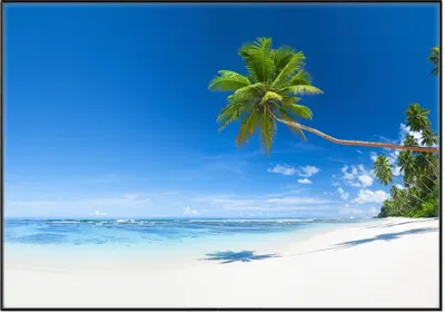 Produktbild von Wallario Wandbild Weißer Sandstrand am Meer - Ein Traum unter Palmen, Größe: 70,30 x 100,30 cm, Poster mit schwarzem Aluminiumrahmen