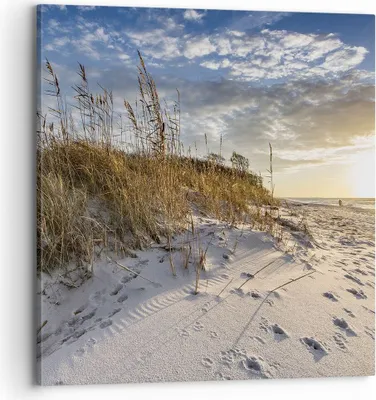 Produktbild von Bild auf Leinwand - Leinwandbild - Einteilig - Sand Gras Meer - 70x70cm - Wand Bild - Wanddeko - Wandbilder - Leinwanddruck - Bilder - Wanddekoration - Leinwand bilder - Wandbild - AC70x70-4781