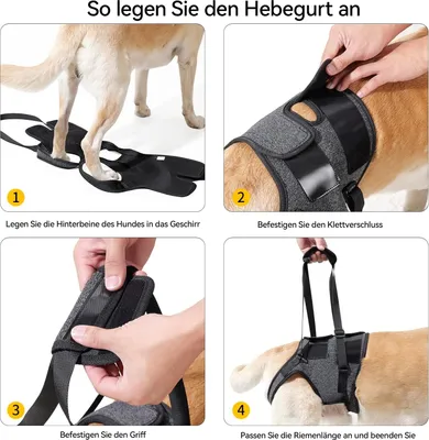 Produktbild von Hundetragegurt mit Griff für ältere & verletzte Hunde, Hinterbein-Hilfe