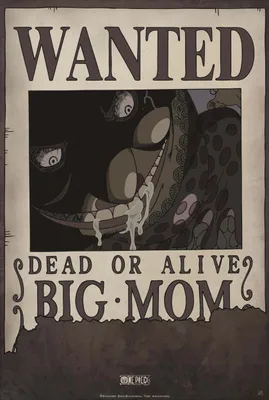 Obrázok produktu pre Plagát One Piece Wanted Big Mom I 35x52cm