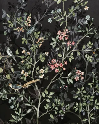 Produktbild von Komar Fototapete Blumen und Vögel Schwarz - 611177 - 200 x 250 cm