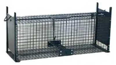 Image de Cage à Rat Une Porte 50 X 20 X 20 Cm