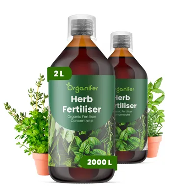 Produktbild von Kräuter Flüssigdünger 2x1L – 3-4-3 NPK – Flüssig-Pflanzendünger für Kräuterpflanzen – Organifer