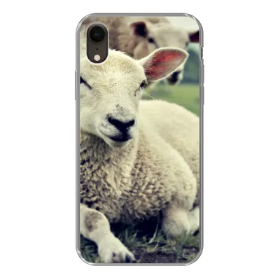 Produktbild von MuchoWow® Handyhülle Schutzhülle Hülle für iPhone XR Schaf - Lamm - Gras Silikon Softcase Handy Hülle - Schutzdeckel