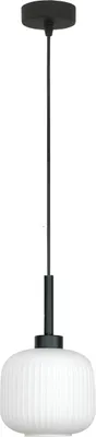 Image de Plafonnier suspendu noir, abat-jour en verre blanc DENZY 15-090Z