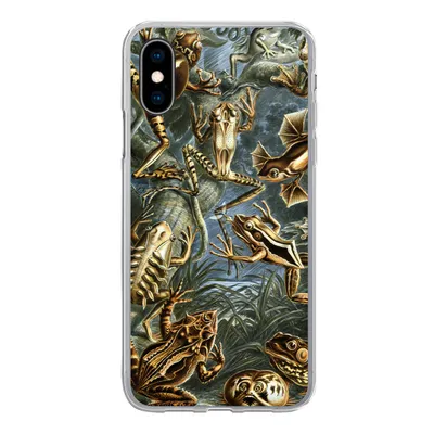 Produktbild von MuchoWow® Handyhülle Schutzhülle Hülle für iPhone X Batrachia - Haeckel - Alte Meister Silikon Softcase Handy Hülle - Handyhülle