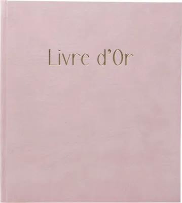 Image de Exacompta Livre d'or 140 pages tranche or Skandi Nude 388E