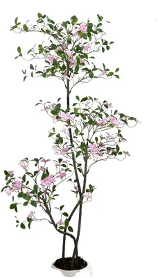 Produktbild von Künstlicher Jasminbaum 180 cm – Dekorativer Kunstblumenbaum mit weißem Topf – Rosa – Für Wohnzimmer & Büro