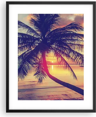 Produktbild von Gerahmtes Poster - Schwarzer Rahmen - Meer Strand Palme - 40x50 cm - Wand Bild - Wanddeko - Wandbilder - Kunstposter - Wandposter - Bilderrahmen - Bilder - Kunstdruck - Wandbild - P2BPA40x50-3925