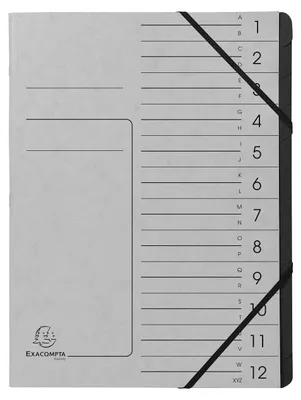 Imagen del producto de Exacompta 541211E: Archivador de documentos con 12 compartimentos, formato A4, cartón Colorspan, color gris