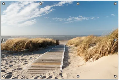 Produktbild von Wallario Outdoor-Poster für Garten oder Balkon, Motiv Auf dem Holzweg zum Strand, in ca. 80 x 120 cm