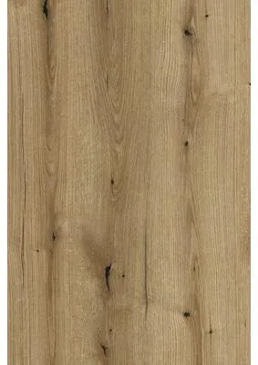 Produktbild von Regalboden Coast Evoke Oak 800 x 400 x 16 mm