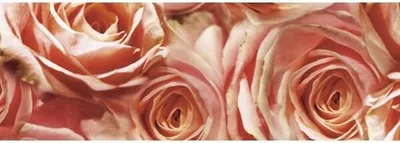 Produktbild von Transparentpapier 115g/qm A4 VE=25 Blatt Flora Rosen