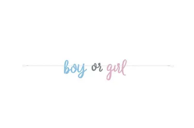 Obrázek produktu pro Párty girlanda Gender reveal - Boy or Girl - Kluk nebo Holka - 213 cm