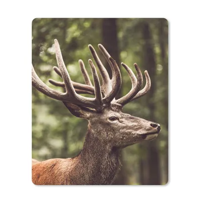 Produktbild von MuchoWow® Mauspad Mousepad Hirsch - Natur - Geweih - Wald - Tiere 30x40 cm - Mousepads - Maus Mat - Pad - Mausunterlage - Mausmatten