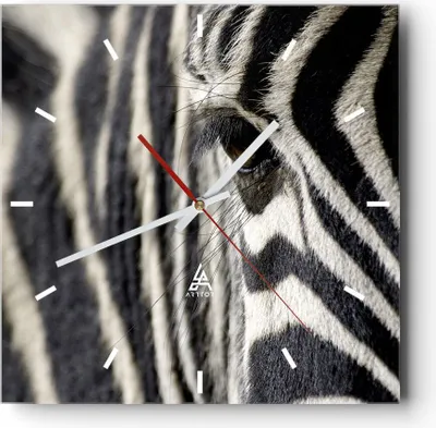 Produktbild von Wanduhr - Quadrat - Glasuhr - Zebra Streifen Tierwelt Safari - 40x40cm - Schleichendes Uhrwerk - Lautlos - zum Aufhängen bereit - Dekoration Modern - Wanddekoration aus Glas - C3AC40x40-2195