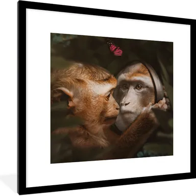 Produktbild von MuchoWow® MuchoWow® Gerahmtes Poster Tiere - Affen - Natur 40x40 cm - Poster mit zchwarzem Bilderrahmen - Poster - Plakat im Rahmen
