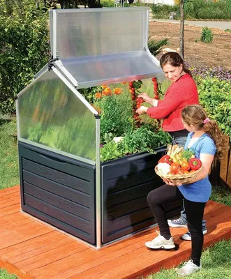 Zdjęcie produktu dla PALRAM-raised-bed Plant Inn-greenhouse-silver/transparent-7148