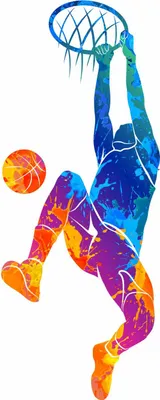 Obrázek produktu pro 188 Nástěnný tetovací basketbalový koš barevný - rozměr 530 x 1250 mm