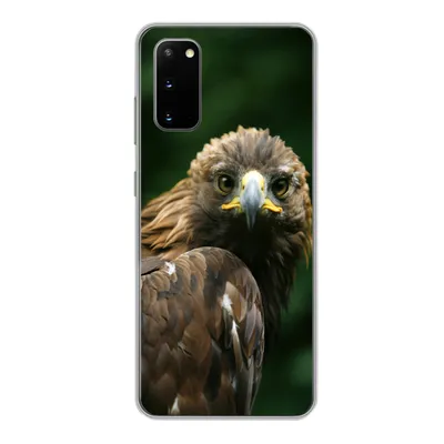 Produktbild von MuchoWow® Handyhülle Schutzhülle Hülle für Samsung Galaxy S20 Adler - Braun - Raubvogel Silikon Softcase Handy Hülle - Bild