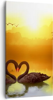 Produktbild von Bild auf Leinwand - Leinwandbild - Schwan Wasser Paar - 55x100cm - Wand Bild - Wanddeko - Leinwanddruck - Bilder - Kunstdruck - Wanddekoration - Leinwand bilder - Wandkunst - PA55x100-3855