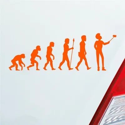 Produktbild von Auto Aufkleber Evolution Selfie Stick Handy Entwicklung Darwin 19x6,7 cm Orange Sticker Heckscheibenaufkleber