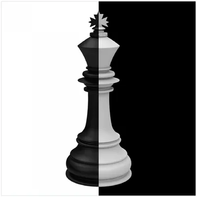 Produktbild von Wallario Memoboard Magnettafel aus Glas, Größe 50 x 50 cm, Motiv Schachfigur schwarz-weiß