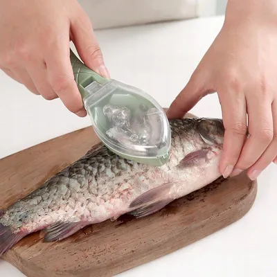 Image de FISH Peeler avec réservoir à écailles Peeler express pour carpes