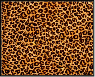 Produktbild von Wallario Wandbild Leopardenmuster  in orange schwarz, Größe: 40,30 x 50,30 cm, Poster mit schwarzem Aluminiumrahmen