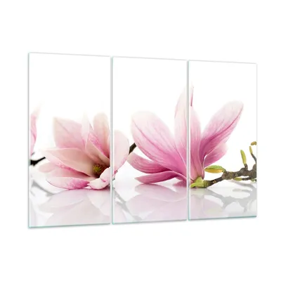 Produktbild von Bilder auf glas - Magnolie blume natur pflanze - 165x110cm - Glasbilder - Wandbilder - Kunstdruck - zum Aufhängen bereit - Wanddekoration aus Glas - Glas Bilder - Wandbild auf Glas - GCE165x110-2641