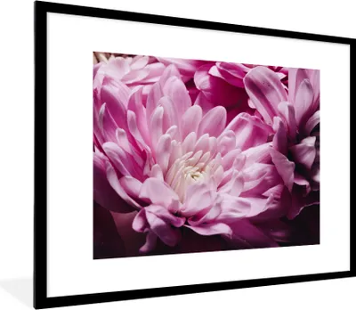 Produktbild von MuchoWow® Gerahmtes Poster Blumen - Rosa - Natur 80x60 cm - Poster mit Schwarzem Bilderrahmen Wandposter Rahmen Foto Bilder - Schlafzimmer-Dekorationen - Fotoposter