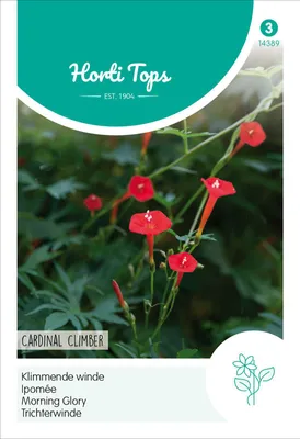 Obrázek produktu pro Popínavá rostlina Cardinal Climber | Semena květin od Hortitops