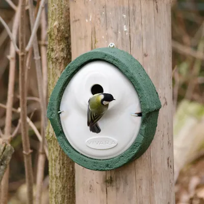 Produktbild von CJ Wildlife Nistkasten - 28 mm Einflugöffnung - WoodStone (Holzbeton) 20 x 15 x 10,5 cm - für Blau-, Sumpf- und Weidenmeisen - mardersicher, grün