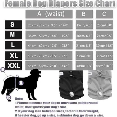 Produktbild von Famanu Hundewindeln für männliche und weibliche Hunde - XXL, super absorbierend