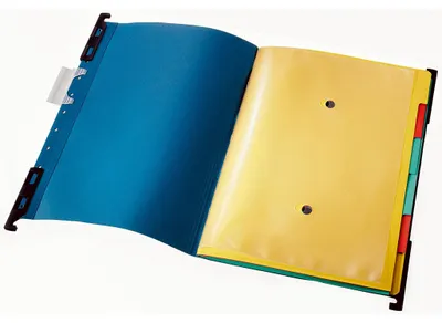 Immagine prodotto di Leitz 1890-00-35 1890 Organizzatore mobile - per A4, sei scomparti per indici, blu