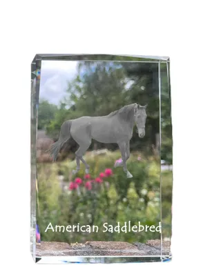 Zdjęcie produktu dla Art-Dog Ramka na zdjęcie – American Saddlebred