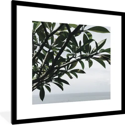 Produktbild von MuchoWow® Gerahmtes Poster Baum - Ast - Meer 40x40 cm - Poster mit Schwarzem Bilderrahmen Wandposter Rahmen Foto Bilder - Poster - Plakat im Rahmen
