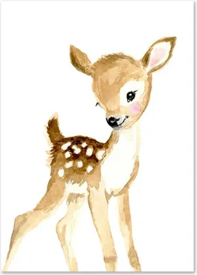 Produktbild von TPFLiving Kunstdruck LW-1035 (OHNE RAHMEN) Poster - Leinwand - Wandbild - Hochauflösender Giclée-Druck, langlebig und hochwertig - Fuchs, Kaninchen, Vogel, Zebra, Reh, Elefant, Waschbär, Giraffe -  - Größe: 40x60cm