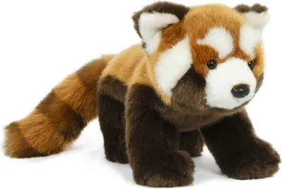 Produktbild von Plüschtier kleiner roter Panda, 23 cm, Stofftiere Kuscheltiere Plüschtiere Katzenbär