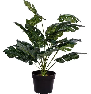 Obrázek produktu pro PLANTASIA Umělá rostlina monstera, 60 cm