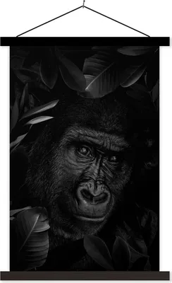 Produktbild von MuchoWow® Textilposter Botanischer Affe auf dunklem Hintergrund - schwarz und weiß 40x60 cm mit schwarzem Rahmen - Wanddekorationen