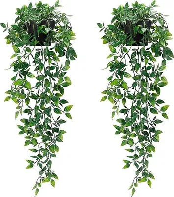 Produktbild von Famanu Kunstpflanze Hängend - 2 Stück, 85 cm