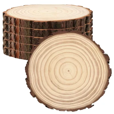 Holzscheiben 6er-Set, 20-23 cm, unbehandelt, für Basteln & Deko