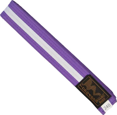 Produktbild von TEKKA BUDO Kampfsport Gürtel mit Mittelstreifen violett-weiß 240 cm 2-farbig - Budogürtel, Karate, Judo, Taekwondo, Ju-Jutsu